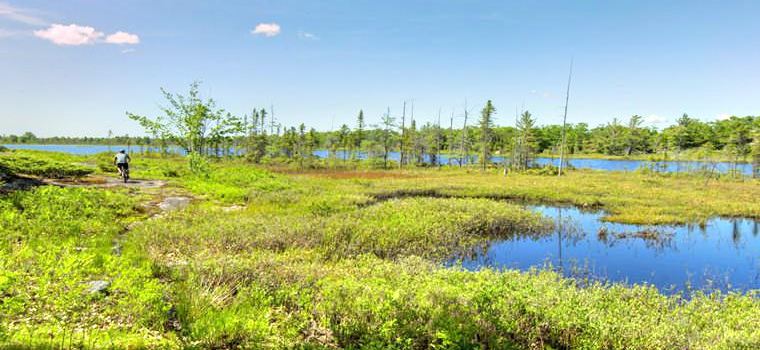 Torrance Barrens Dark-Sky Preserve