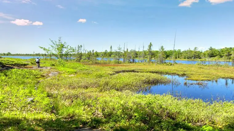 Torrance Barrens Dark-Sky Preserve