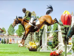 Spruce Meadows