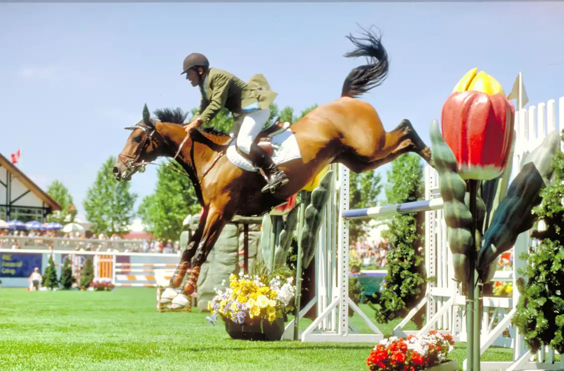Hotel in zona Spruce Meadows