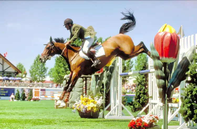 Hotels in Foothills County