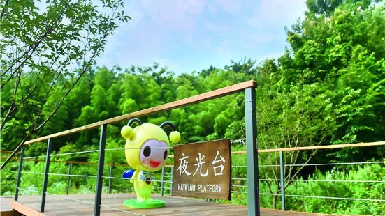 Meijie Yinghuochong Ecology Park