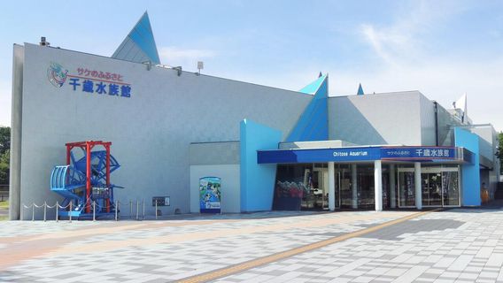 Chitose Salmon Aquarium