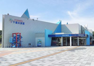 Chitose Salmon aquarium