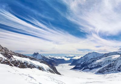 Sông băng Aletsch