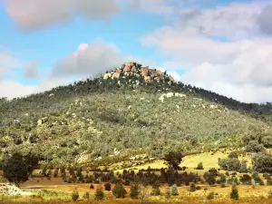 Tidbinbilla Nature Reserve