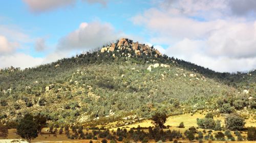 Tidbinbilla Nature Reserve