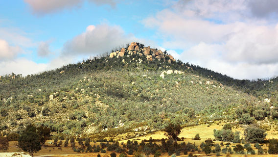 Tidbinbilla Nature Reserve