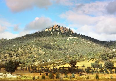 Tidbinbilla Nature Reserve