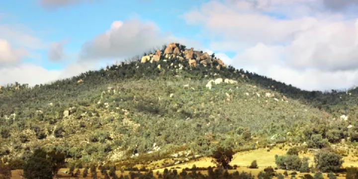 提德賓比拉自然保護區