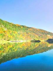 산시 황릉/산서 황릉 국가삼림공원