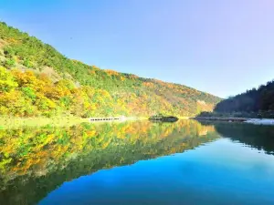 陝西黃陵國家森林公園