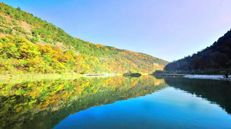 陝西省黄陵国家森林公園