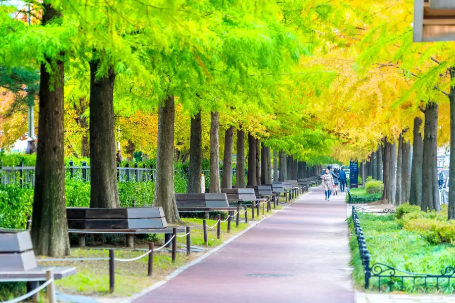 Hanbat Arboretum