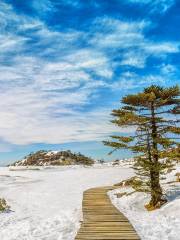 轎子雪山