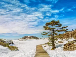 轎子雪山