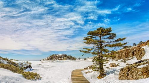 轎子雪山