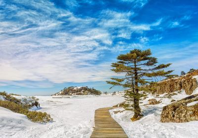 轎子雪山