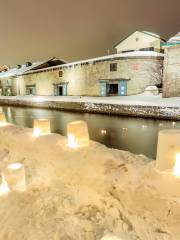 Otaru Snow Light Path