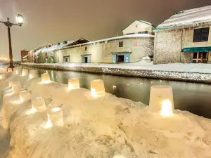 Otaru Snow Light Path