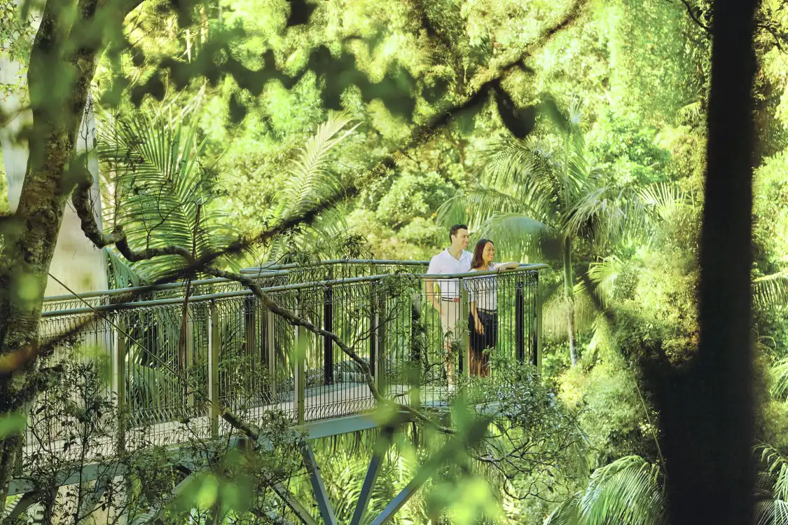 Hotels near Tamborine Rainforest Skywalk