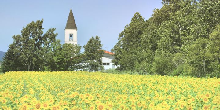 Bibaushi Elementary School