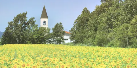美瑛町立美馬牛小學校