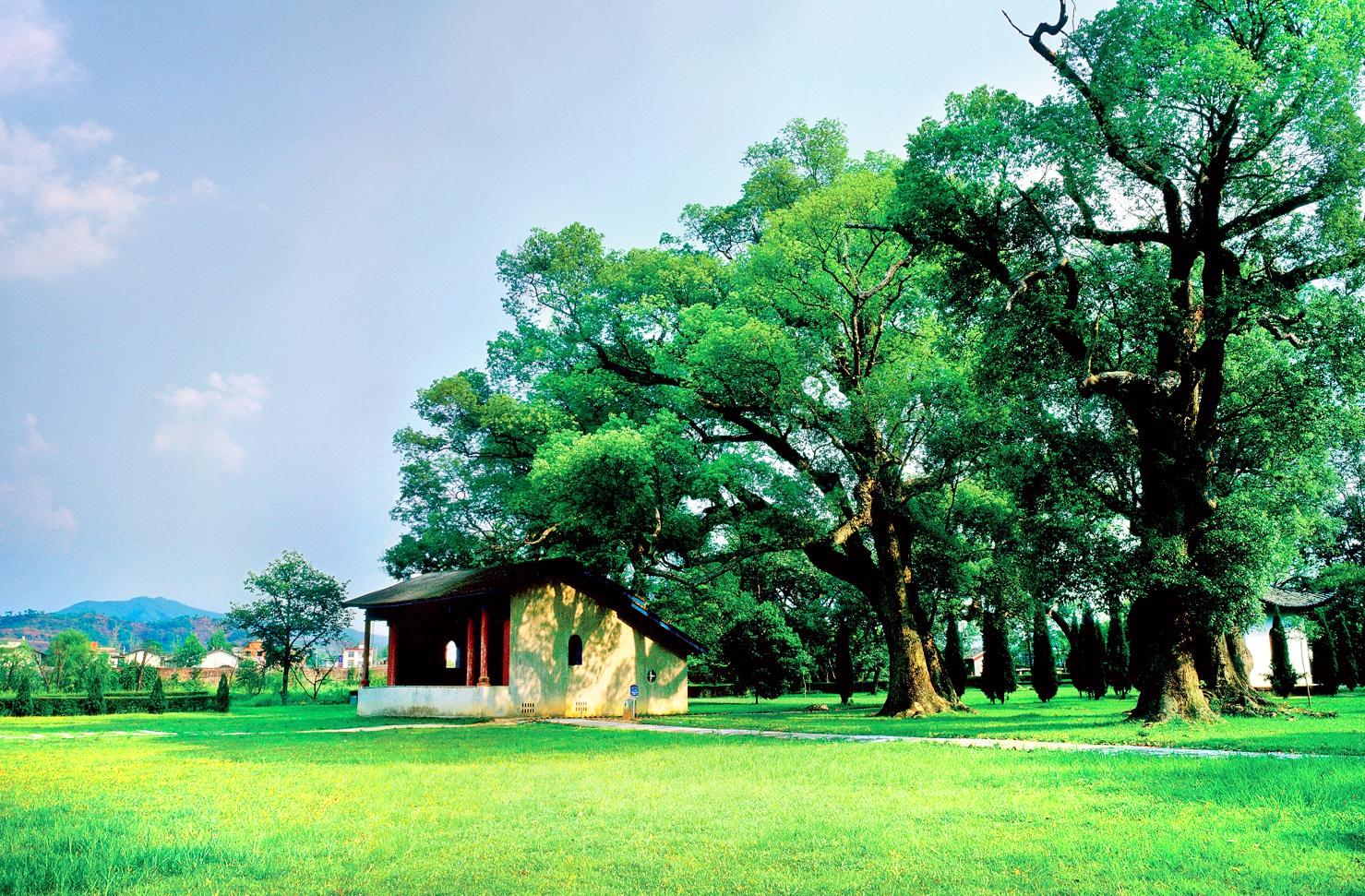 Republic Cradle Scenic Spot-Ye Ping Scenic Area