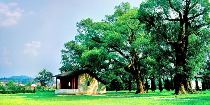 Republic Cradle Scenic Spot-Ye Ping Scenic Area