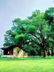 The Former Yeping Revolutionary Site