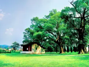 The Former Yeping Revolutionary Site