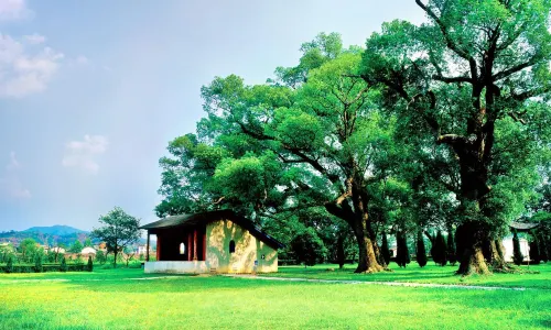 Republic Cradle Scenic Spot-Ye Ping Scenic Area
