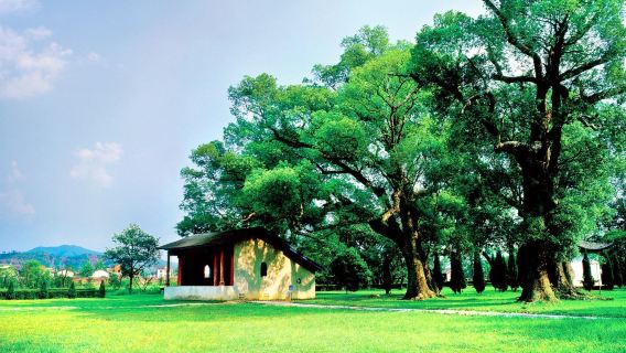 Republic Cradle Scenic Spot-Ye Ping Scenic Area