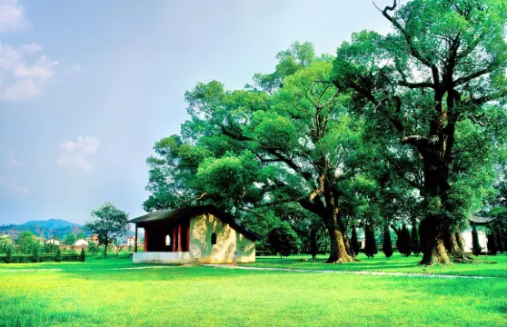 共和國搖籃旅遊區-葉坪景區門票成人