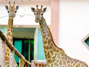 鄭州市動物園