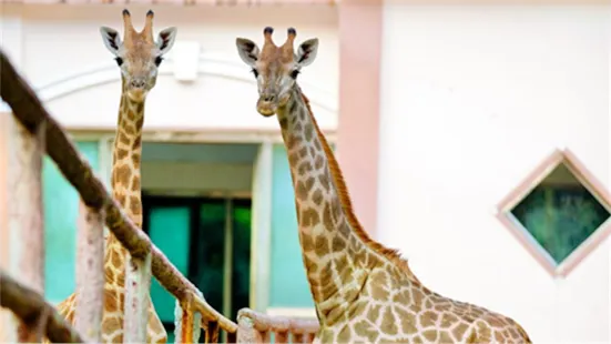 鄭州市動物園