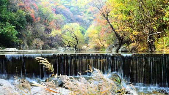 Wangxian Grand Canyon