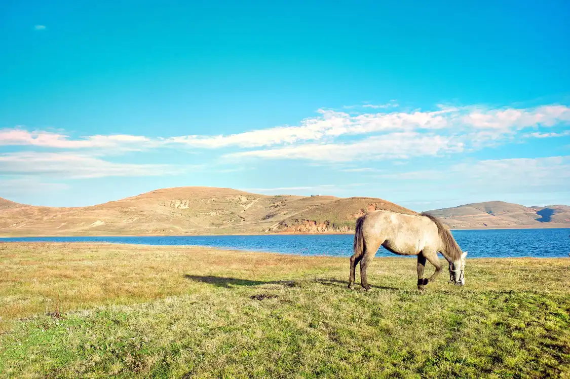 Hotels near Nian Lake