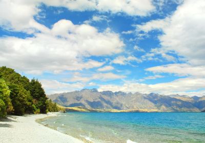 Sunshine Bay Track