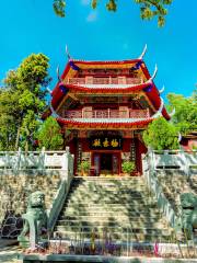 Huili White Horse Temple