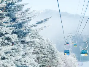 발왕산