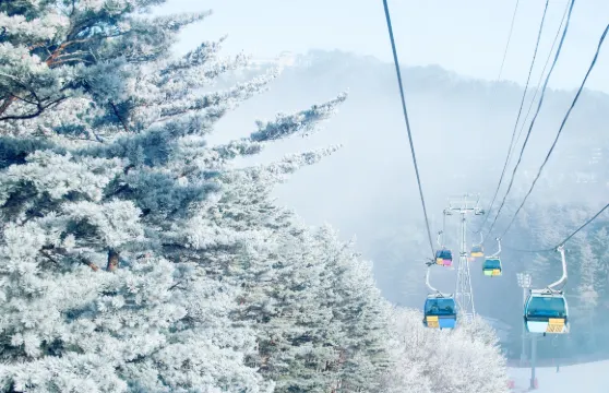發旺山觀光纜車來回票（包括空中漫步）成人