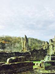 Rievaulx Abbey