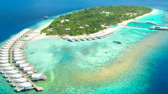 Amilla Fushi