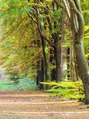 Hoge Veluwe National Park