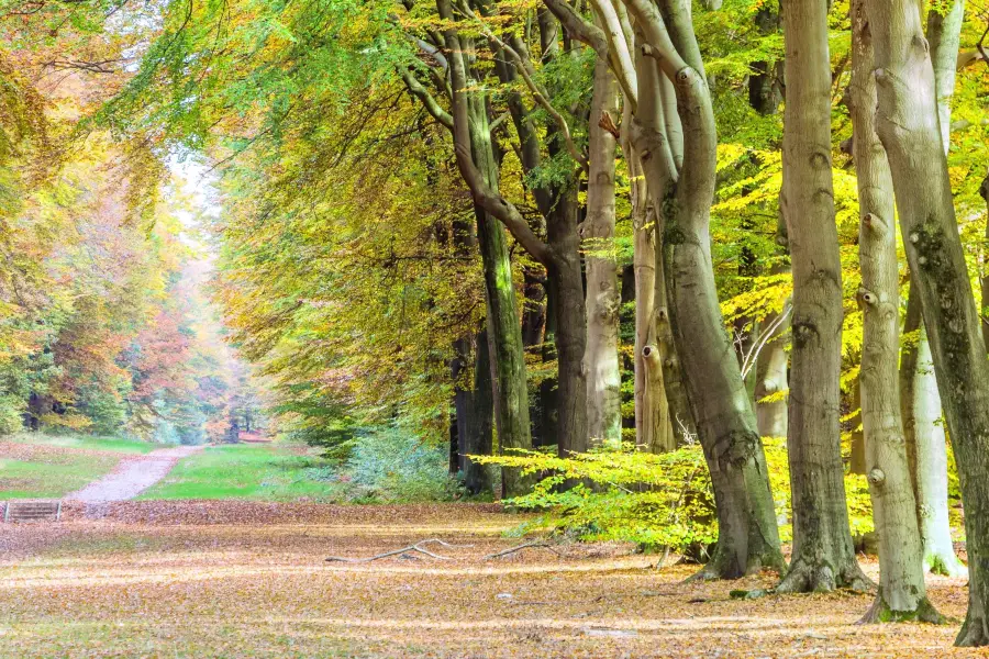 Hoge Veluwe National Park