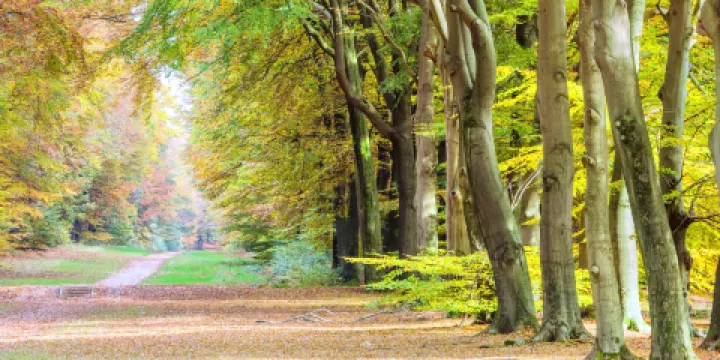 高費呂韋國家公園