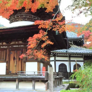 西山 善峯寺