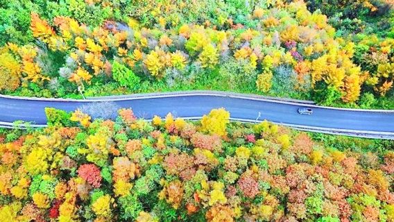 Changlinggang Ecology Garden