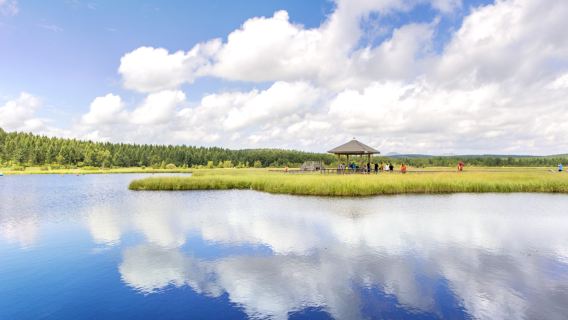 Qixing Lake Wetland Park